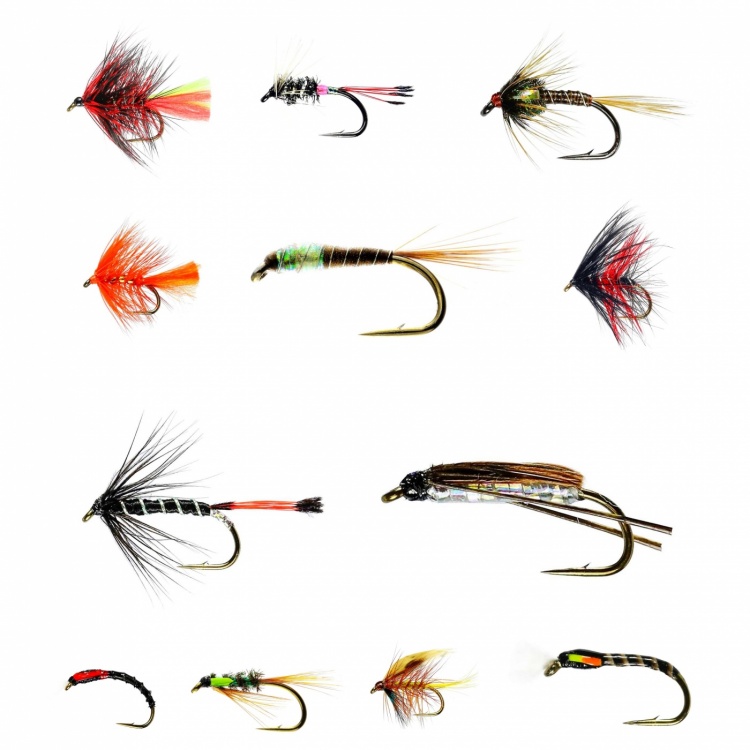 Caledonia Flies Barbed August Stillwater Nymph / Wet Collection Fishing Fly Assortment